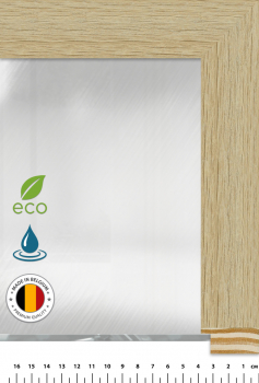 Зеркало MN-448-1 Зеркало MN-448-1